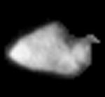 Stardust image of asteroid Annefrank (NASA/JPL)