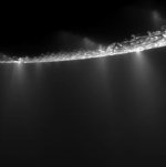 Enceladus plumes (NASA/JPL)