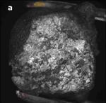 Meteorite from asteroid 2008 TC3 (Carnegie)