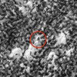 MRO image of Phoenix released Nov 09 (NASA/JPL)